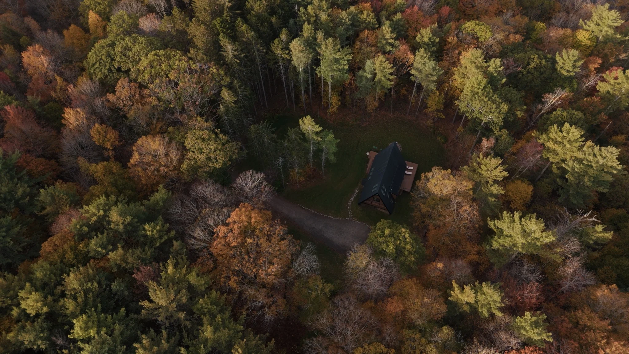 The A-frame surrounded by autumn forest